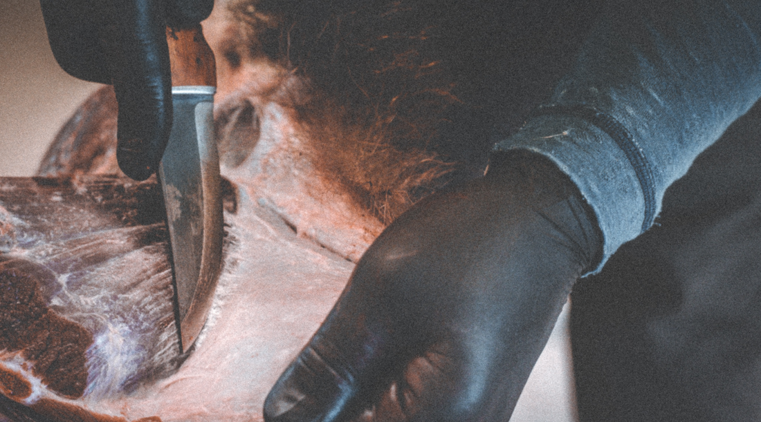 Skinning game with Roselli's handmade hunting Knife UHC steel